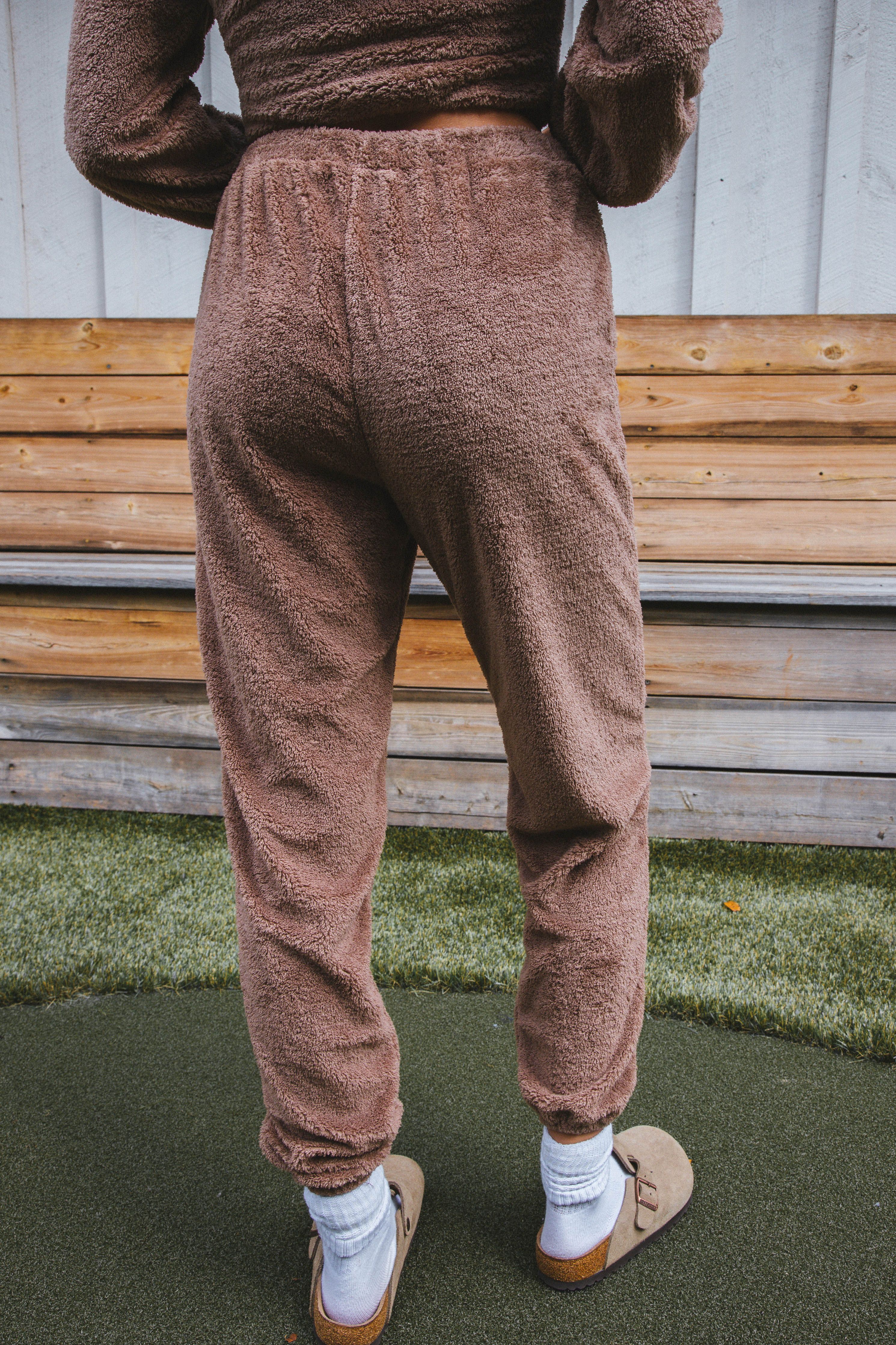 Mind You Plush Joggers, Mocha | Sadie & Sage sold by North & Main Clothing Company product image thumbnail 4