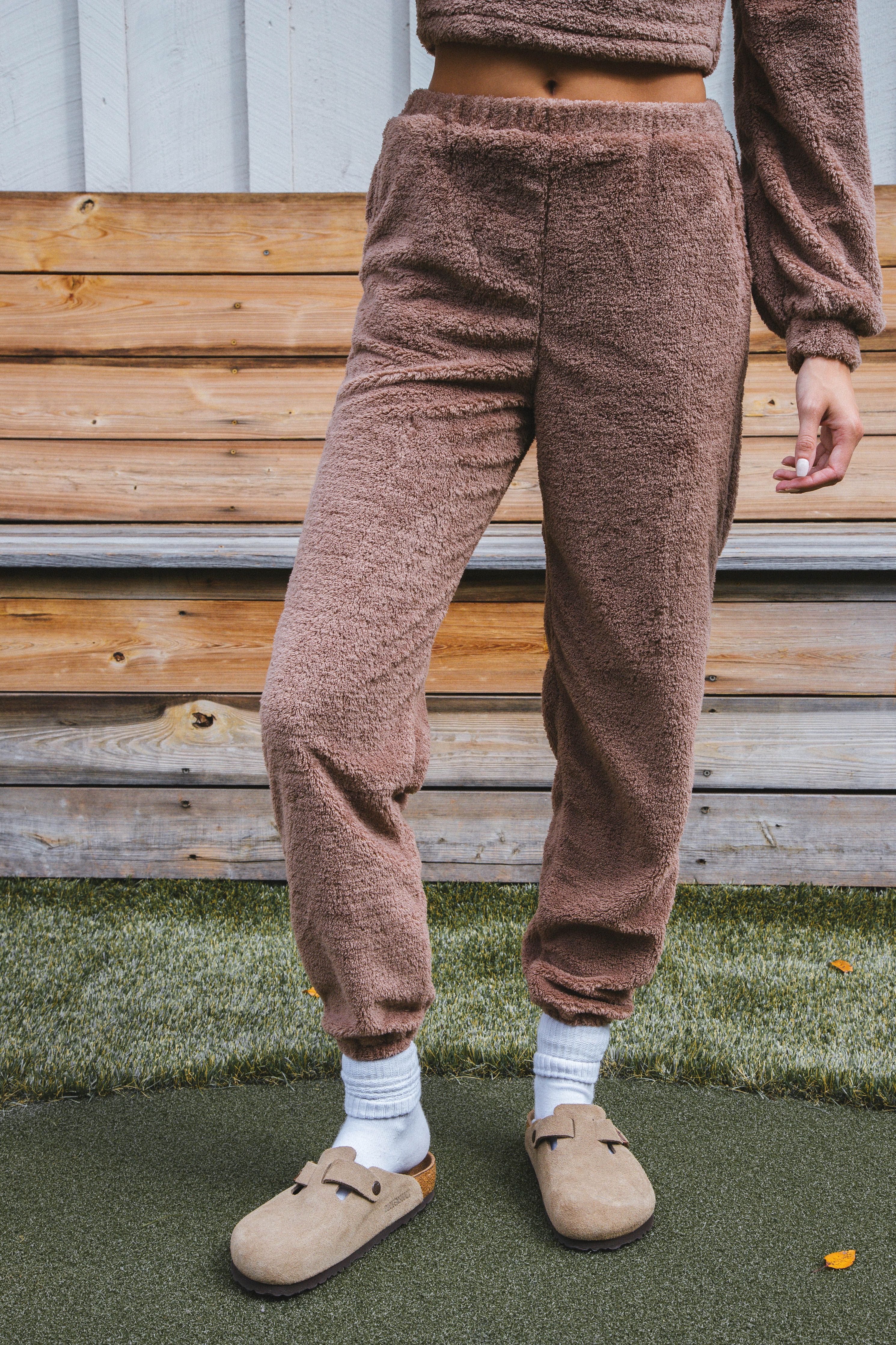 Mind You Plush Joggers, Mocha | Sadie & Sage sold by North & Main Clothing Company product image thumbnail 2