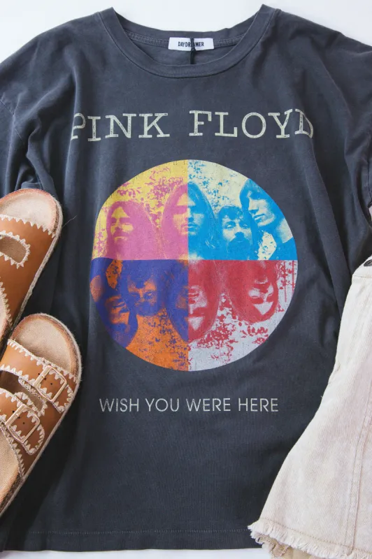 Pink Floyd Wish You Were Here Tee, Pigment Black | Daydreamer sold by North & Main Clothing Company