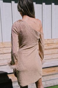 Pop The Bubbly Mini Dress, Champagne sold by North & Main Clothing Company