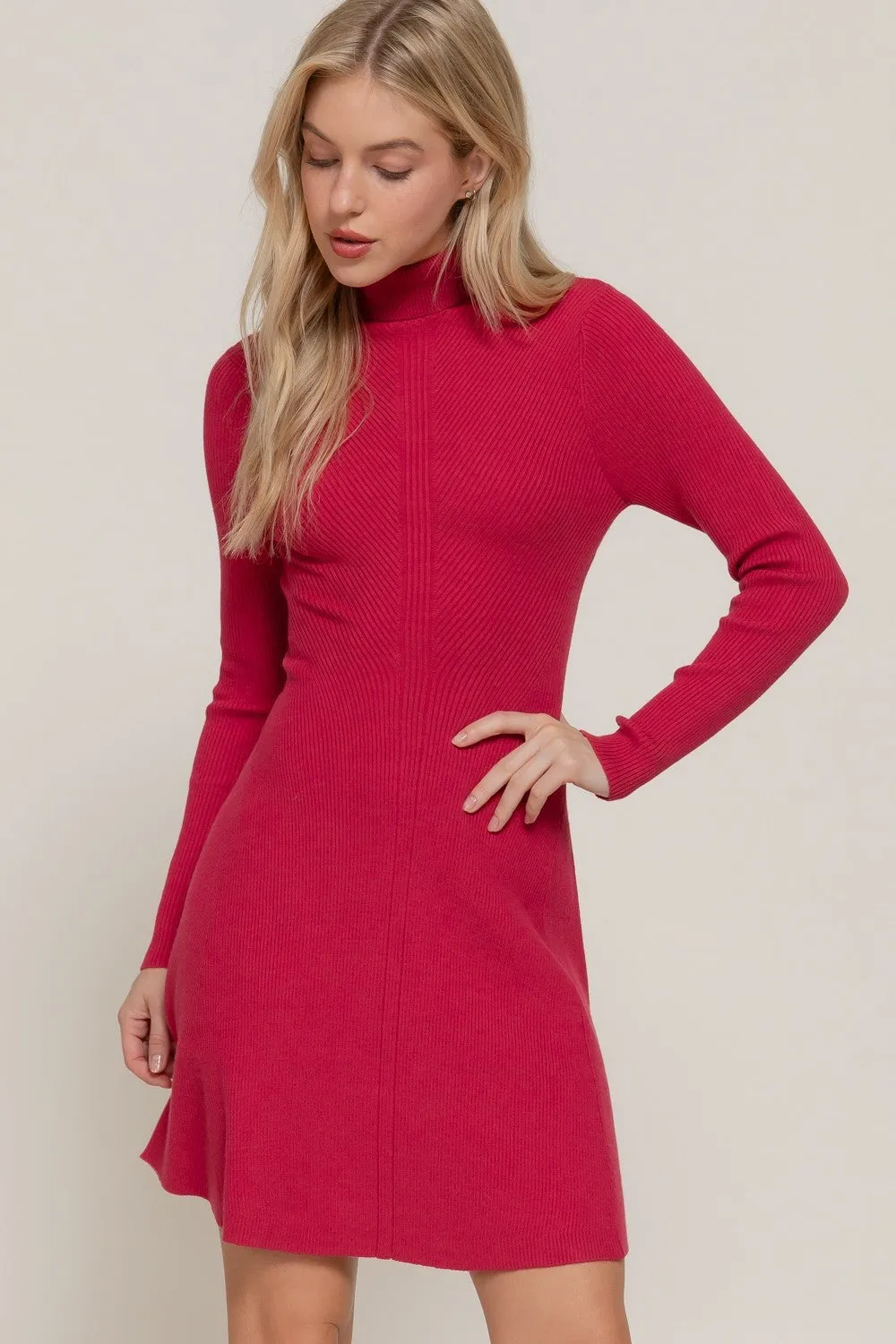 Zillah Turtleneck Sweater Dress sold by Madison Boutique product image thumbnail 2