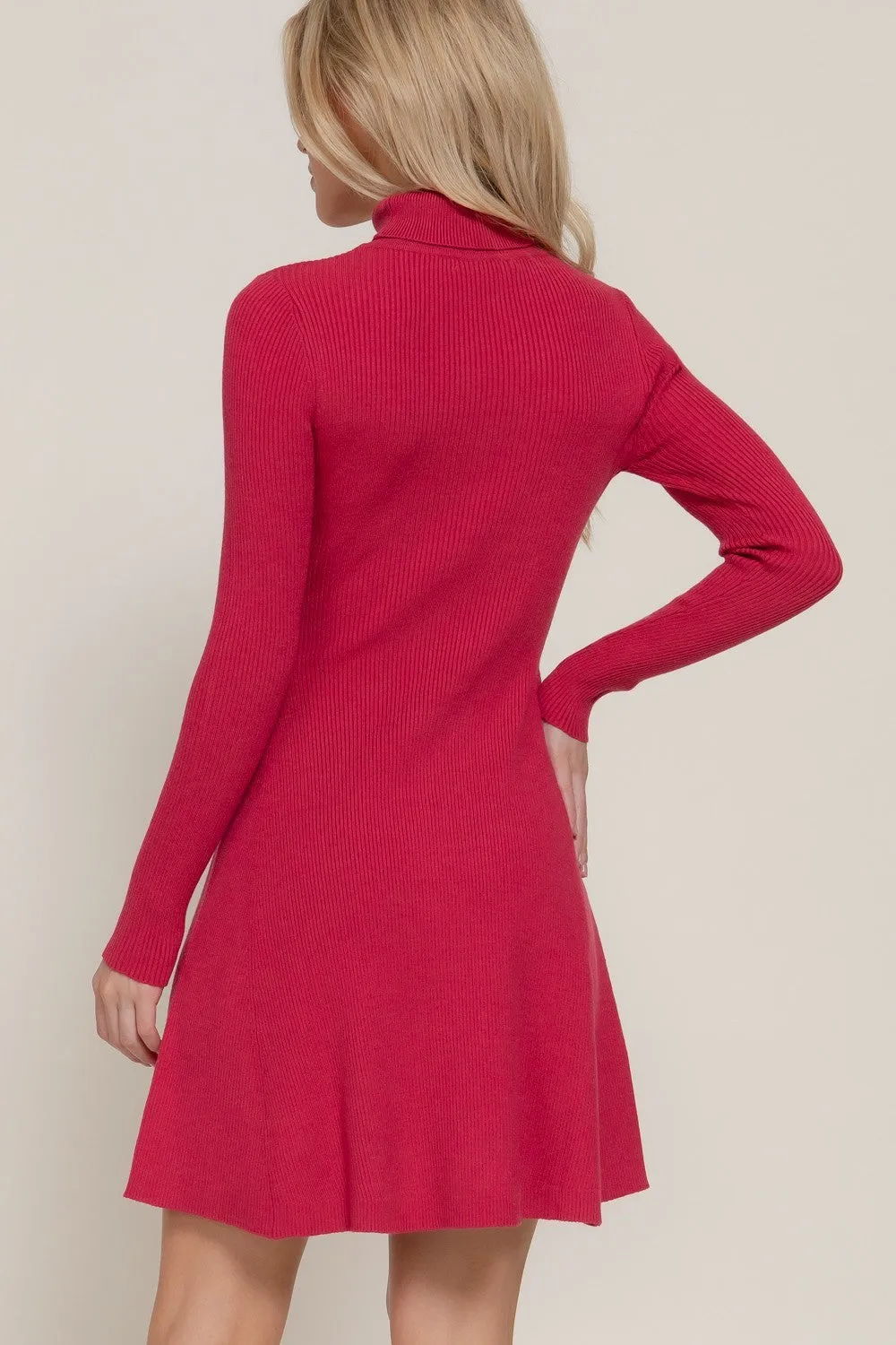 Zillah Turtleneck Sweater Dress sold by Madison Boutique product image thumbnail 4