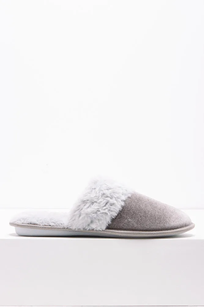 Slipper Dark Grey sold by Ackermas product image thumbnail 2