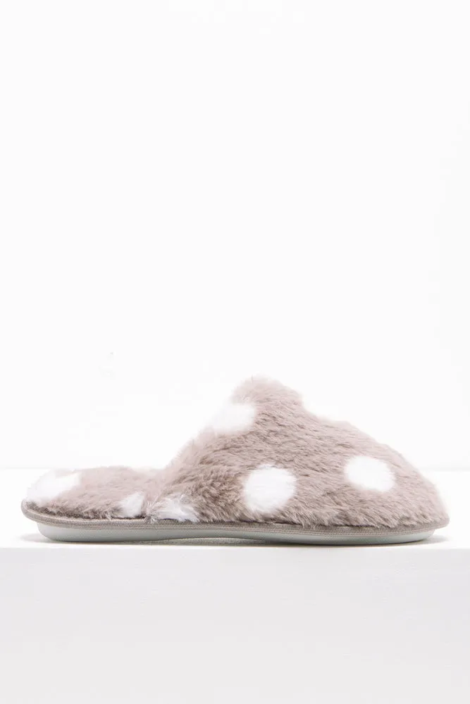 Dot Slipper Grey sold by Ackermas product image thumbnail 2