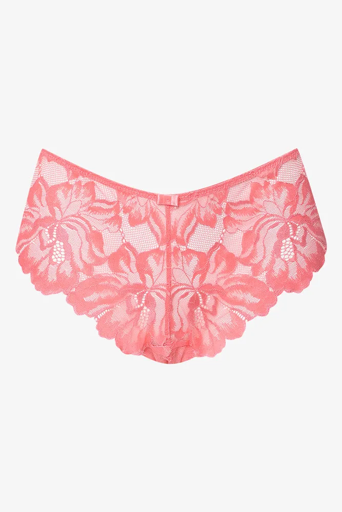 3 Pack Lace Boylegs Coral, Grey And White sold by Ackermas product image thumbnail 3