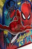 Spider-Man Double Zip Backpack Red sold by Ackermas