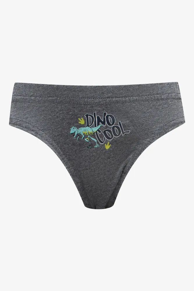 5 Pack Dino Briefs Grey, Green & Blue sold by Ackermas product image thumbnail 3