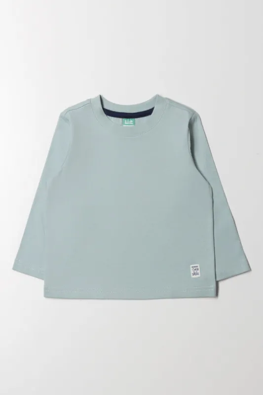 Long Sleeve T-Shirt Sage sold by Ackermas