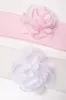 2 Pack Head Band White & Pink sold by Ackermas