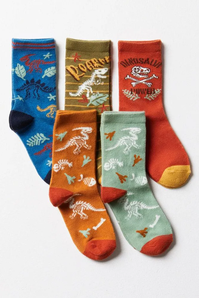 5 Pack Dino Socks Multi sold by Ackermas