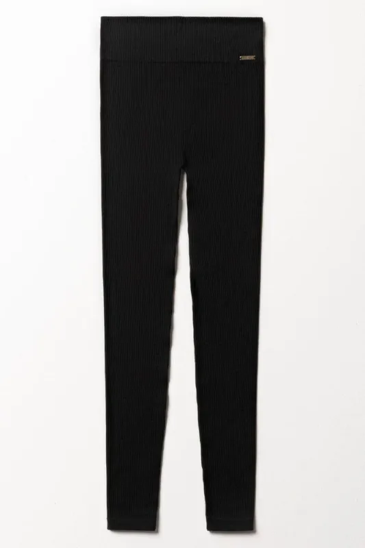 Seamless Leggings Black sold by Ackermas