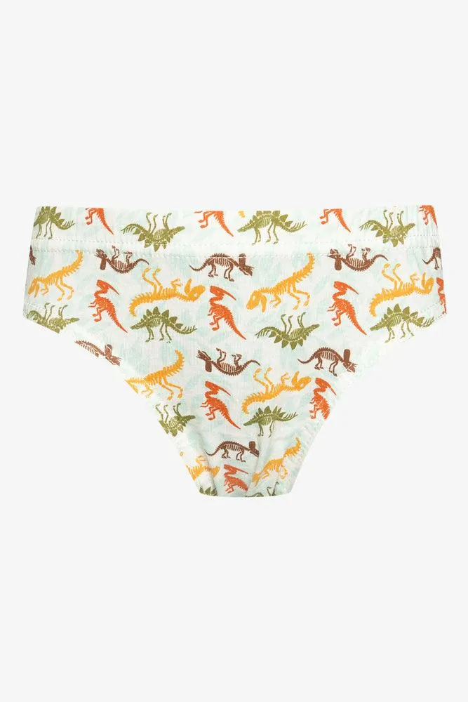 5 Pack Dino Briefs Multi sold by Ackermas product image thumbnail 4