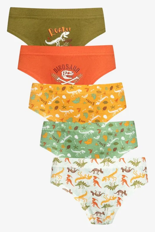 5 Pack Dino Briefs Multi sold by Ackermas