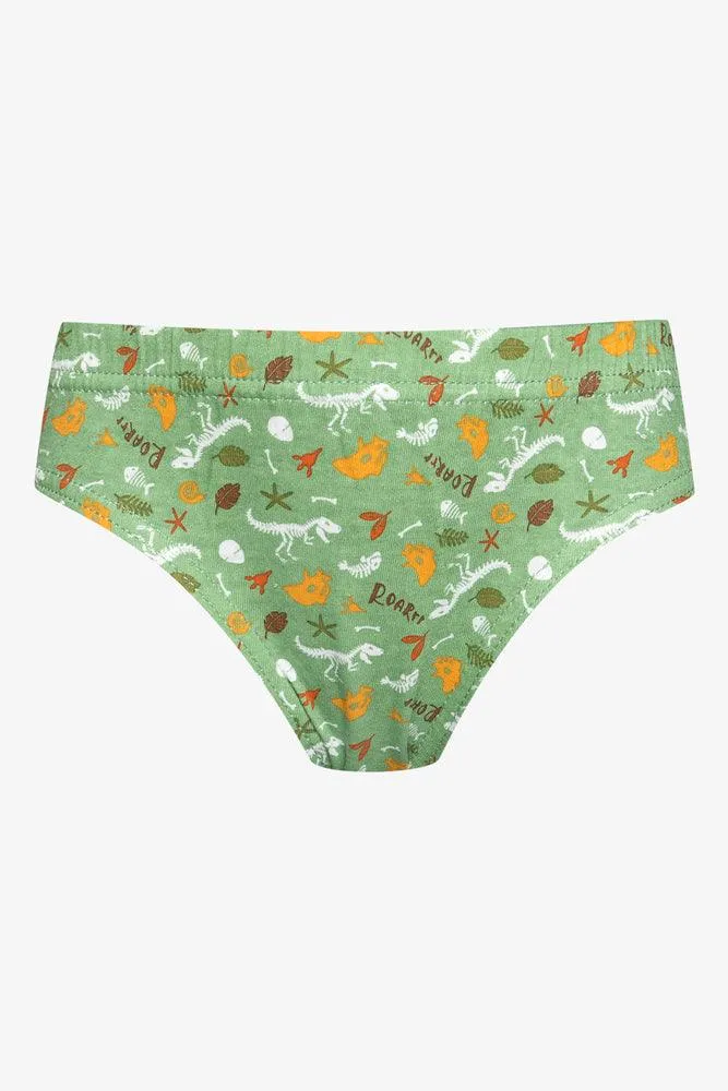 5 Pack Dino Briefs Multi sold by Ackermas product image thumbnail 5