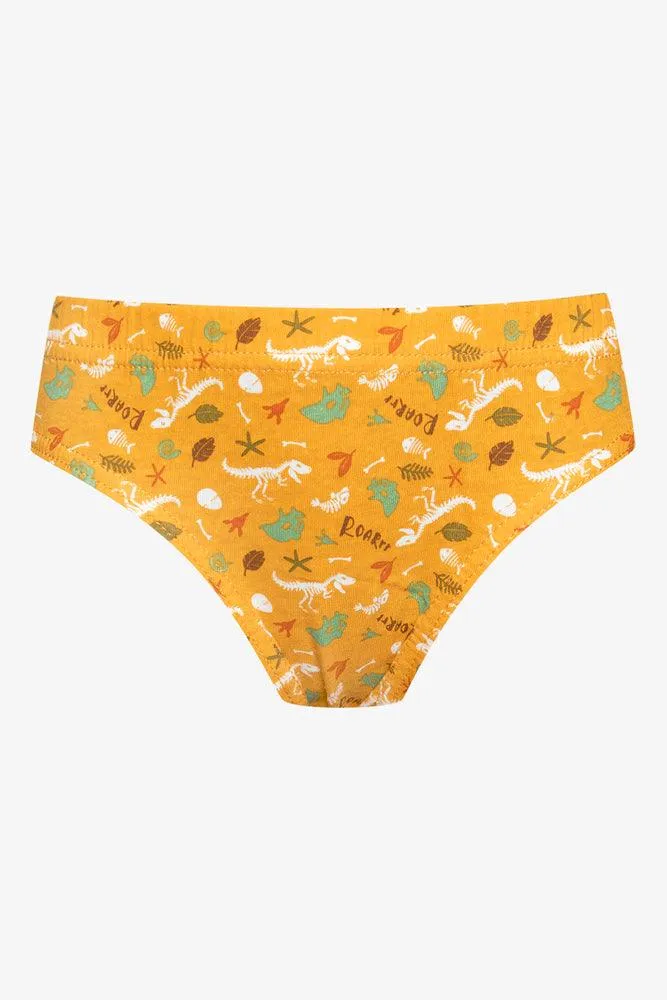 5 Pack Dino Briefs Multi sold by Ackermas product image thumbnail 3