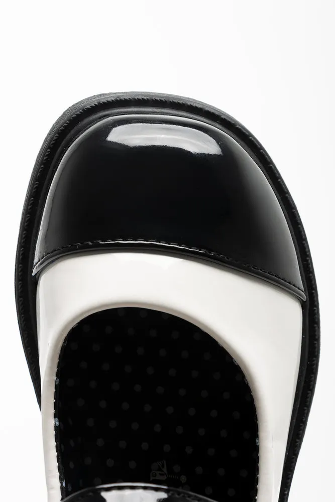 Shoe Cream sold by Ackermas product image thumbnail 5