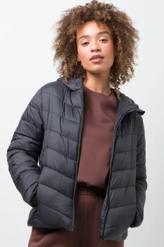 Puffer Jacket Black sold by Ackermas