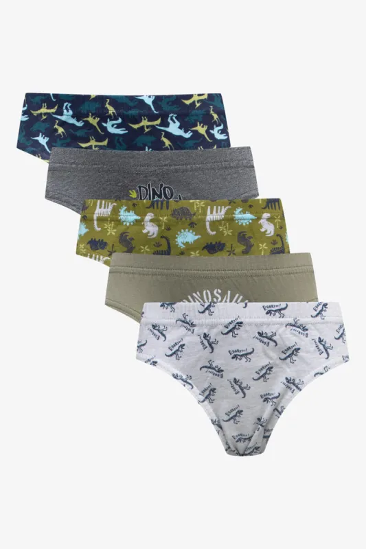 5 Pack Dinosaur Briefs Multi sold by Ackermas