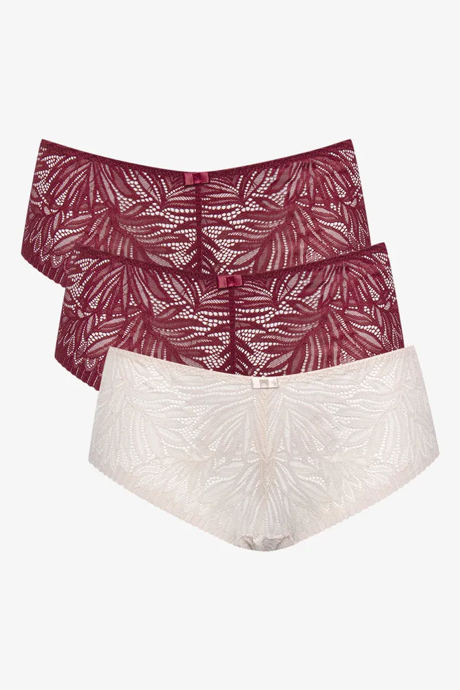 3 Pack Lace Boyleg Burgundy And Natural sold by Ackermas