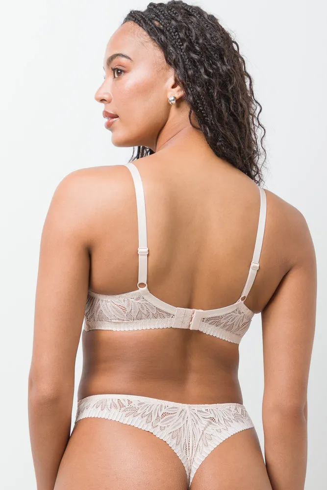 3 Pack Lace Thongs Burgundy And Natural sold by Ackermas product image thumbnail 4