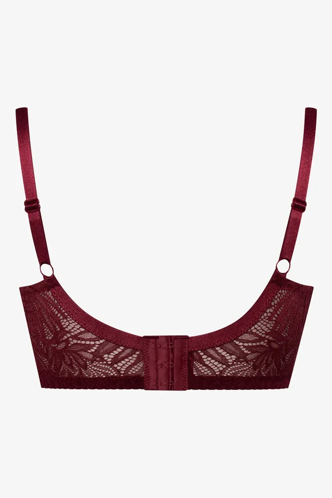 Plus Size 2 Pack Lace Balconette Bras Burgundy And Natural sold by Ackermas product image thumbnail 4