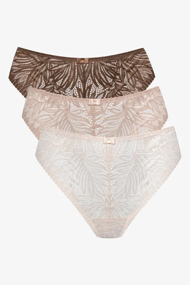 3 Pack Lace Thongs Brown, Light Pink And Natural sold by Ackermas product image thumbnail 2