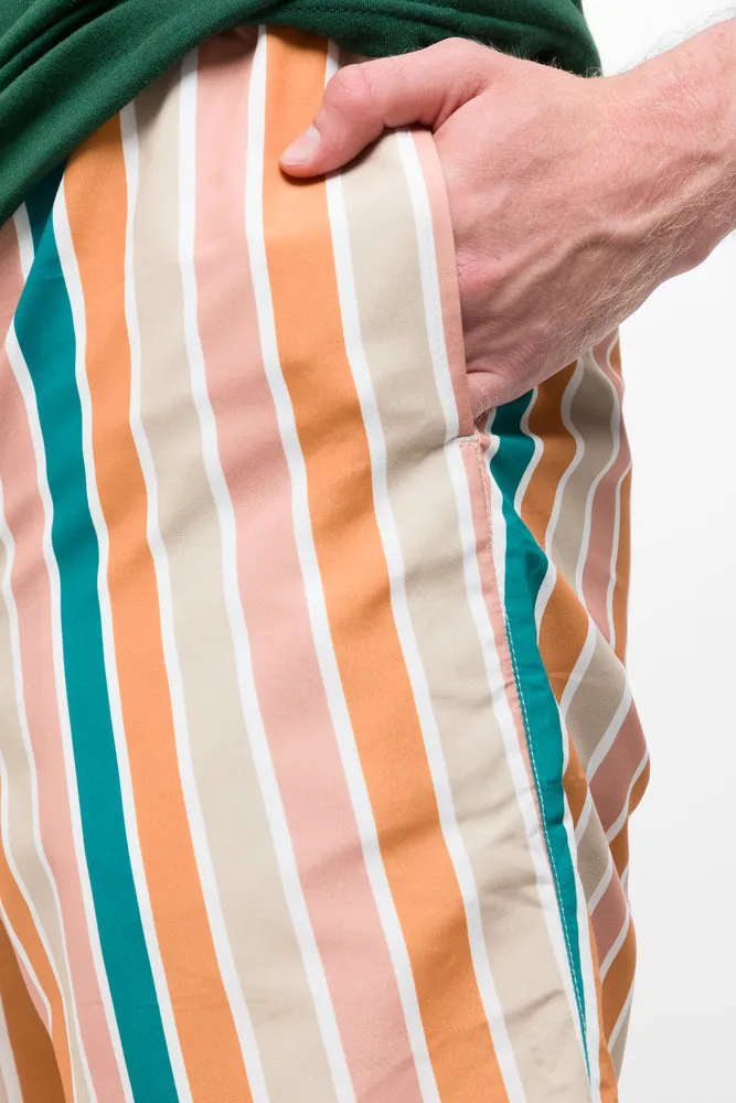 Swim Shorts Multi Stripe sold by Ackermas product image thumbnail 4