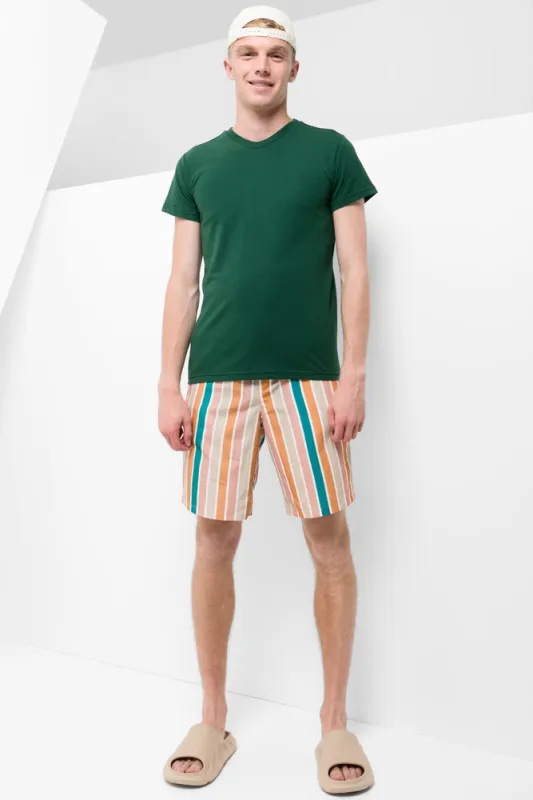 Swim Shorts Multi Stripe sold by Ackermas