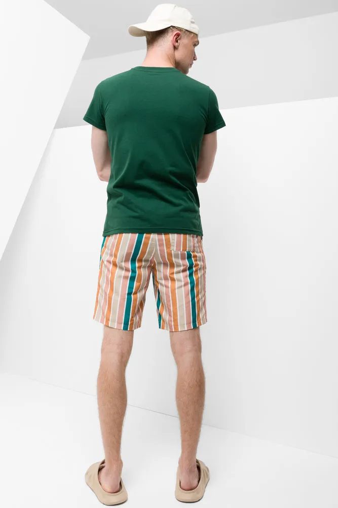 Swim Shorts Multi Stripe sold by Ackermas product image thumbnail 3
