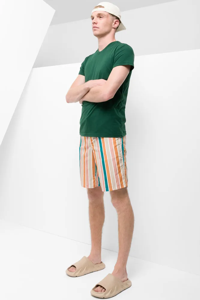 Swim Shorts Multi Stripe sold by Ackermas product image thumbnail 2