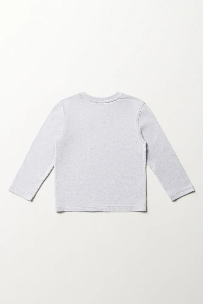 Long Sleeve T-Shirt Grey sold by Ackermas product image thumbnail 3