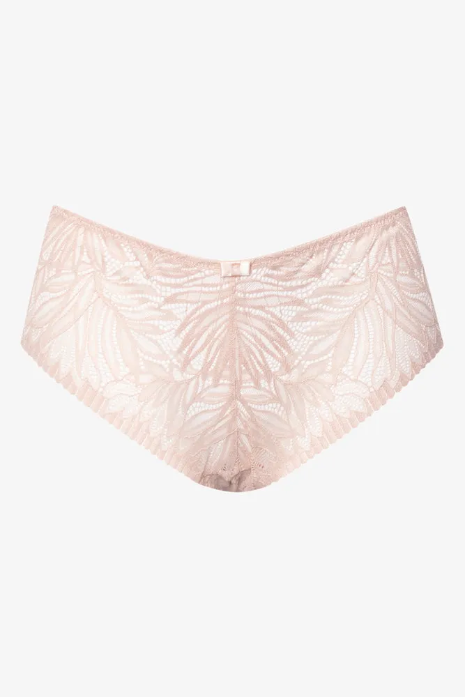 3 Pack Lace Boyleg Brown And Natural sold by Ackermas product image thumbnail 2