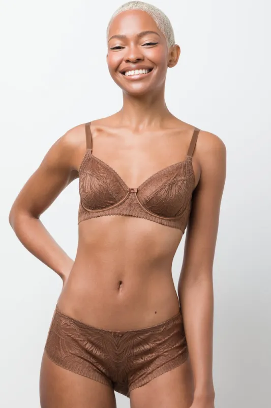 3 Pack Lace Boyleg Brown And Natural sold by Ackermas