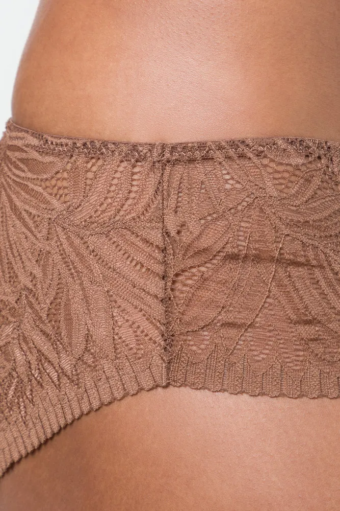 3 Pack Lace Boyleg Brown And Natural sold by Ackermas product image thumbnail 4