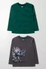 2 Pack Dinosaur Long Sleeve T-Shirt Green And Grey sold by Ackermas
