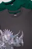 2 Pack Dinosaur Long Sleeve T-Shirt Green And Grey sold by Ackermas