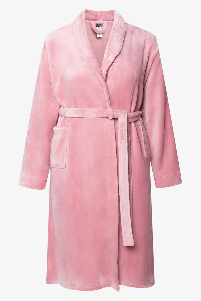 Gown Pink sold by Ackermas