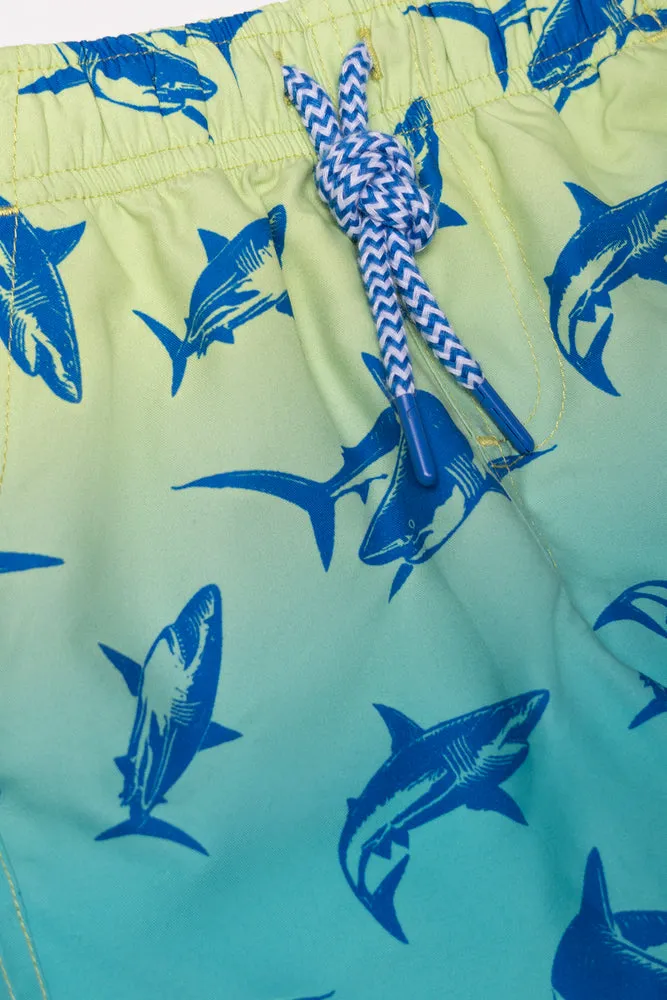 Swim Shorts Blue sold by Ackermas product image thumbnail 2