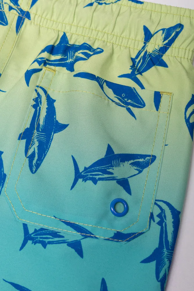 Swim Shorts Blue sold by Ackermas product image thumbnail 3