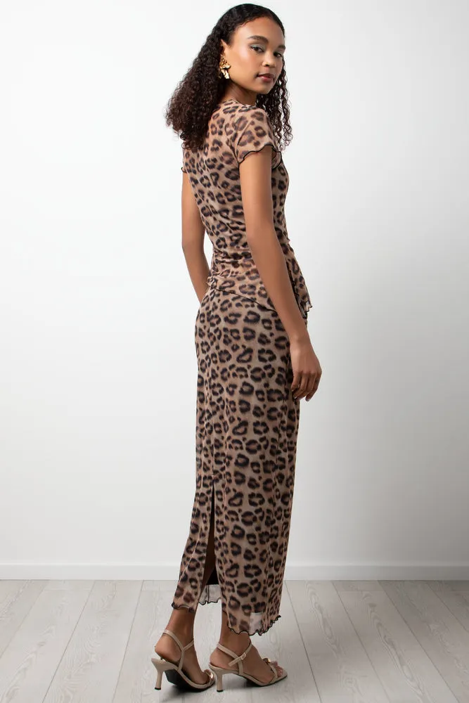 Short Sleeve Animal Print Mesh Top Brown sold by Ackermas product image thumbnail 3