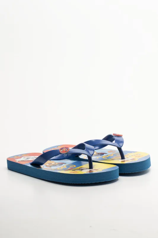 Paw Patrol Flip Flops Blue sold by Ackermas
