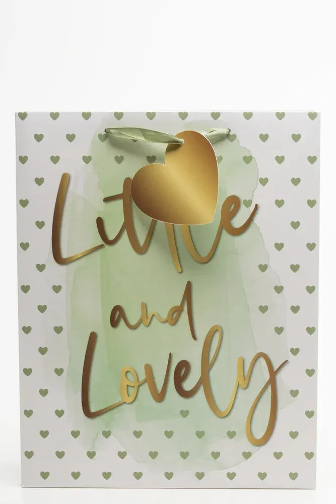 Little And Lovely Gift Bag Green sold by Ackermas
