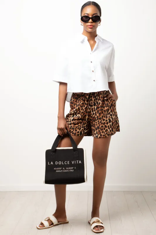 Shorts Brown sold by Ackermas