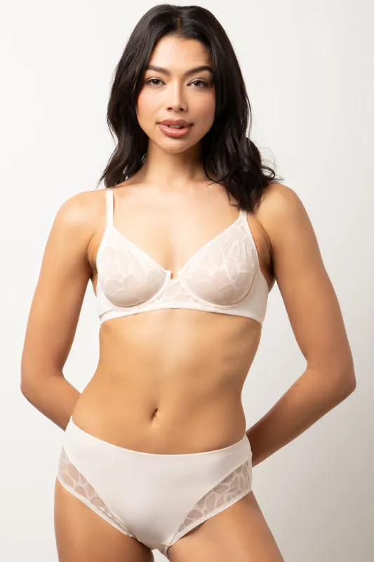 3 Pack Boylegs Navy And Natural sold by Ackermas