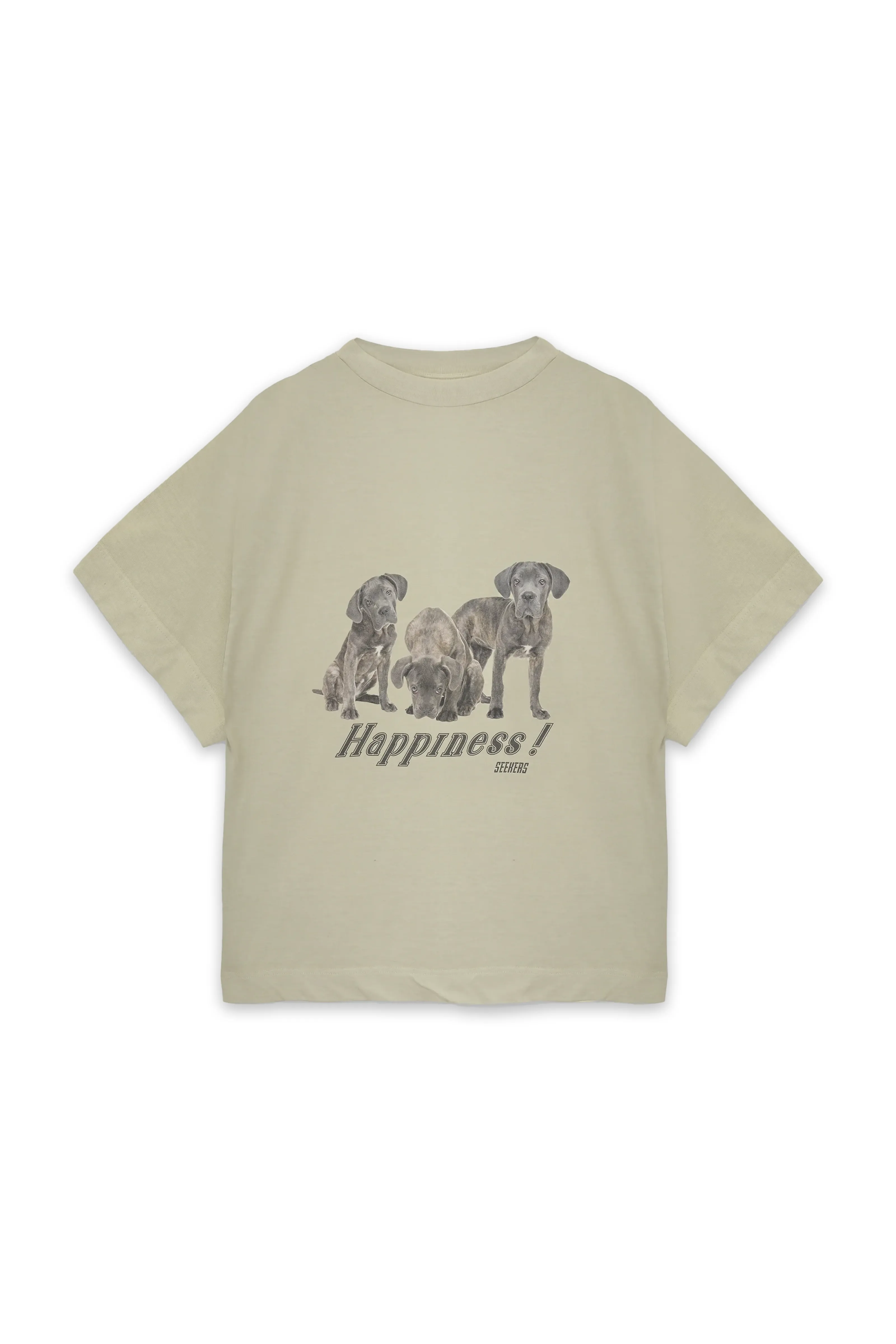Happiness Oversized Tee sold by Sisters and Seekers