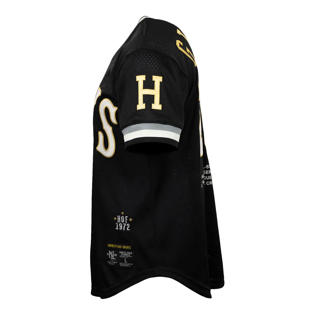Commemorative Josh Gibson Homestead Grays Vintage Inspired NL Replica V-Neck Mesh Jersey sold by Ebbets Field Flannels product image thumbnail 4