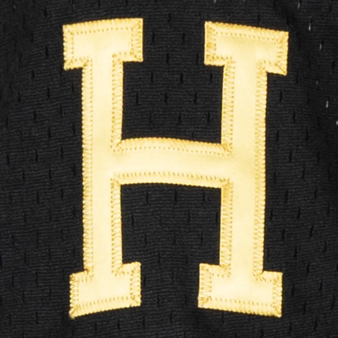 Commemorative Josh Gibson Homestead Grays Vintage Inspired NL Replica V-Neck Mesh Jersey sold by Ebbets Field Flannels product image thumbnail 5