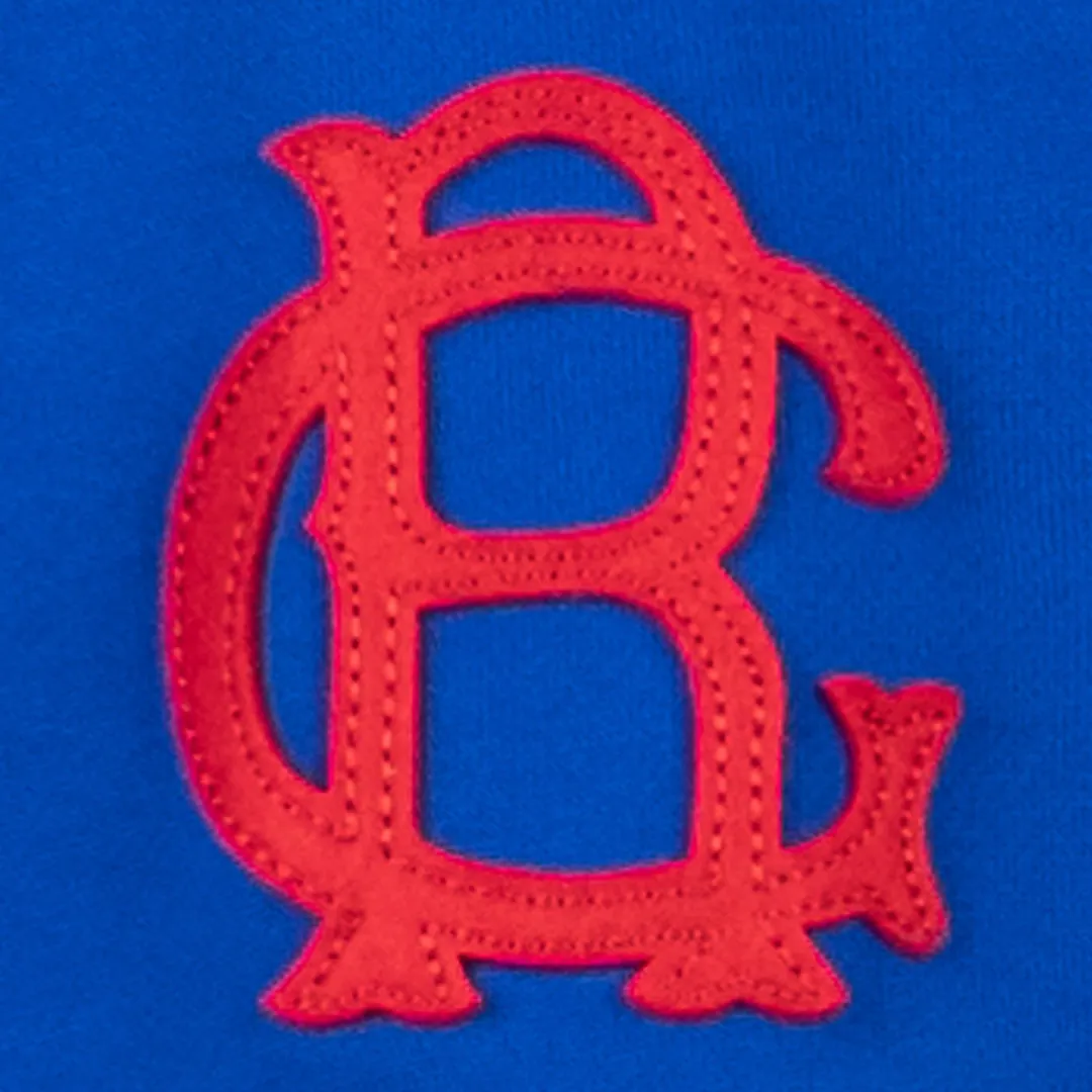Brooklyn Royal Giants French Terry Script Hooded Sweatshirt sold by Ebbets Field Flannels product image thumbnail 4