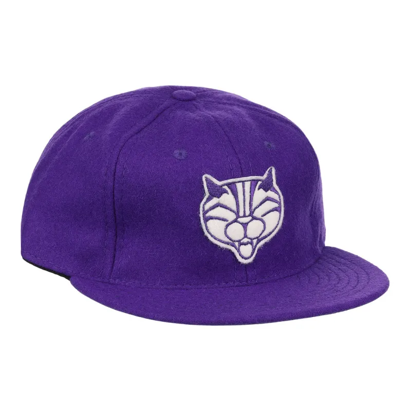 Northwestern University Mascot Vintage Ballcap made by Ebbets Field Flannels
