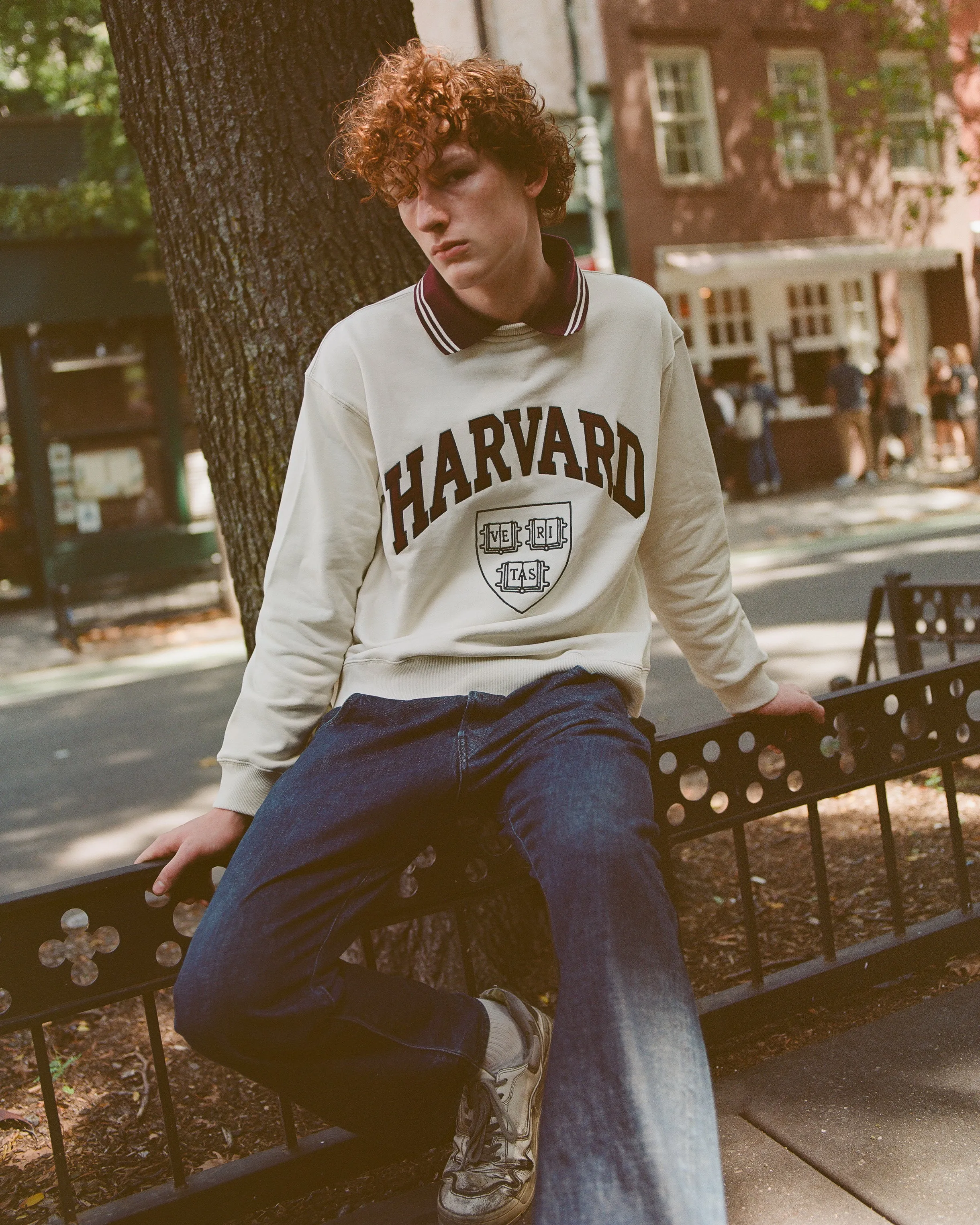 Harvard University Collard Crewneck Sweatshirt sold by Ebbets Field Flannels product image thumbnail 3